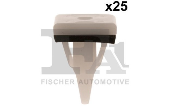 Clip, decorative/protective strip