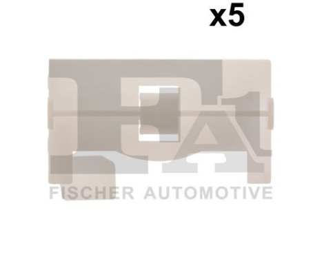 Clip, decorative/protective strip