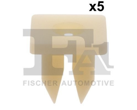 Clip, decorative/protective strip