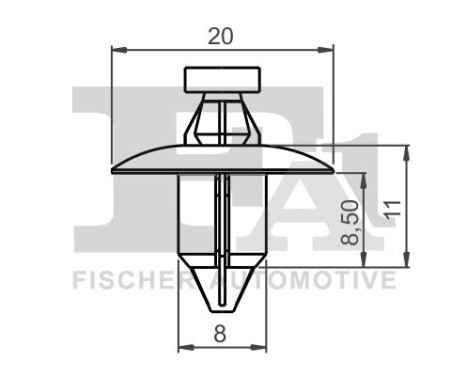 Clip, decorative/protective strip