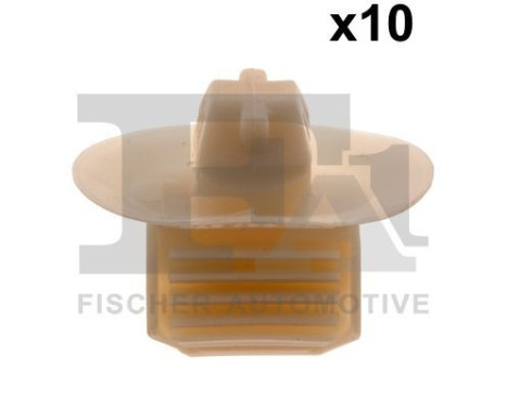 Clip, decorative/protective strip