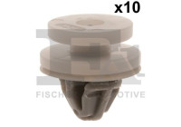 Clip, decorative/protective strip