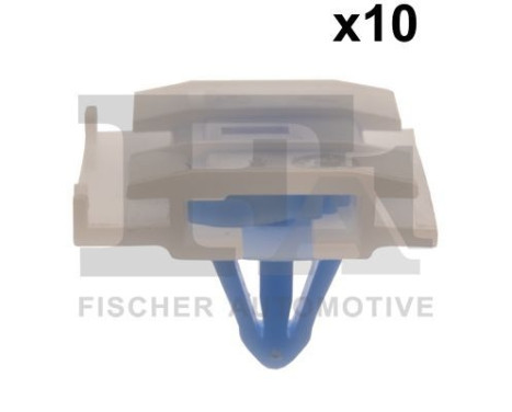 Clip, decorative/protective strip