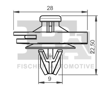 Clip, decorative/protective strip
