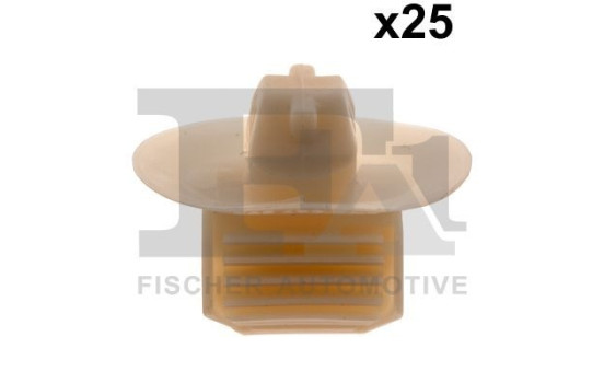 Clip, decorative/protective strip