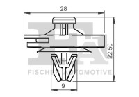Clip, decorative/protective strip