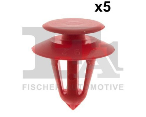 Clip, decorative/protective strip