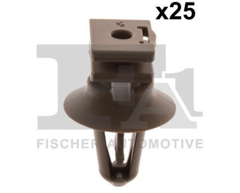 Clip, decorative/protective strip