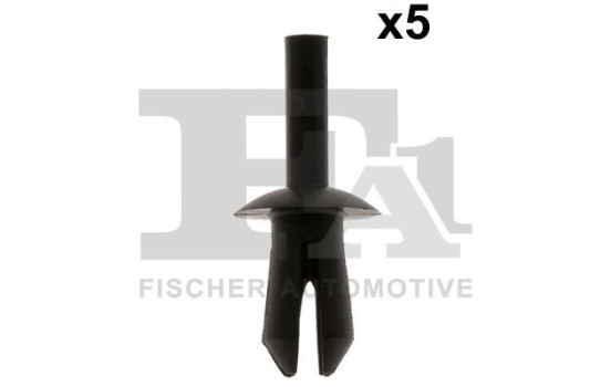 Clip, decorative/protective strip