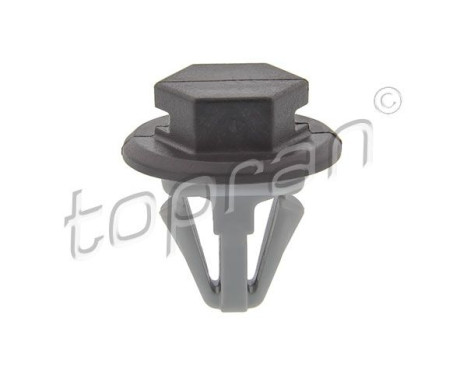 Clip, trim/protection trim