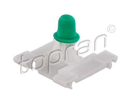 Clip, trim/protective strip