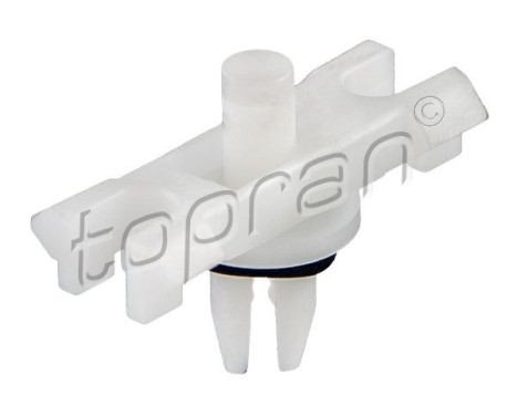 Clip, trim/protective strip