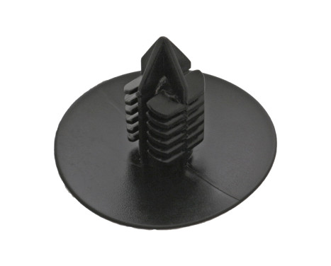 Clip, trim/protective strip