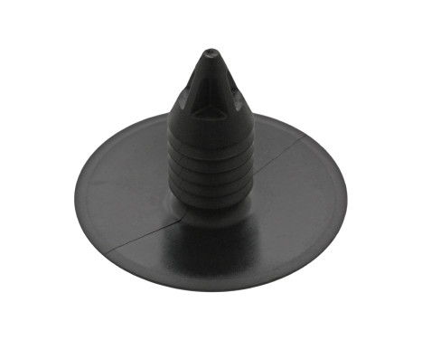 Clip, trim/protective strip