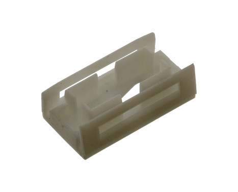 Clip, trim/protective strip