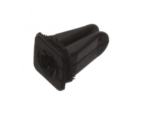 Clip, trim/protective strip