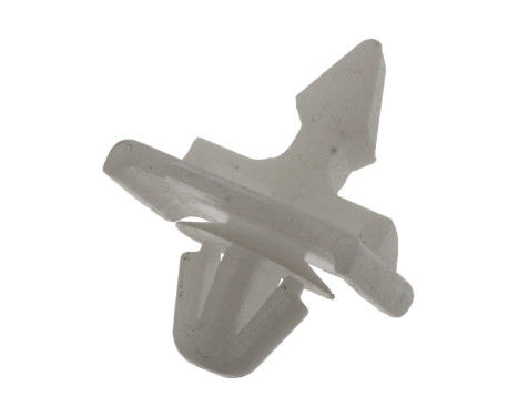 Clip, trim/protective strip