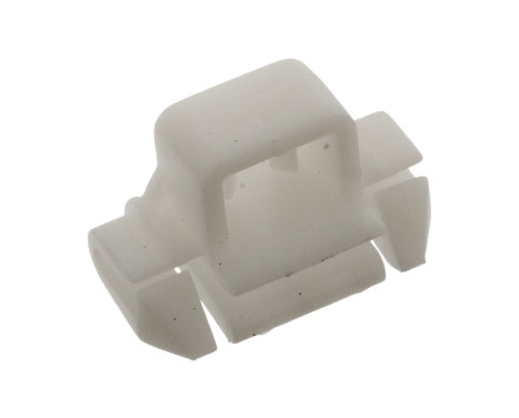 Clip, trim/protective strip