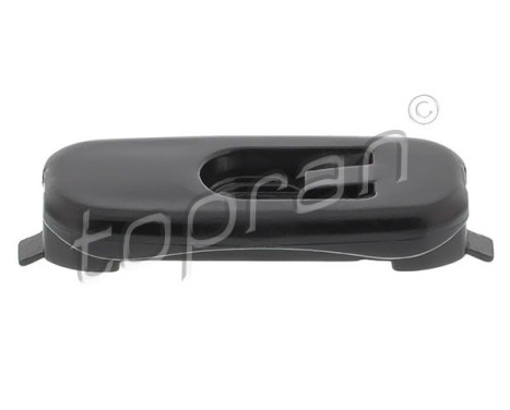 Clip, trim/protective strip