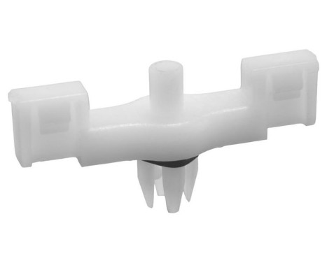 Clip, trim/protective strip