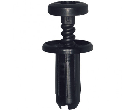 Screw nail OEM: 7703072261 - 20 pieces