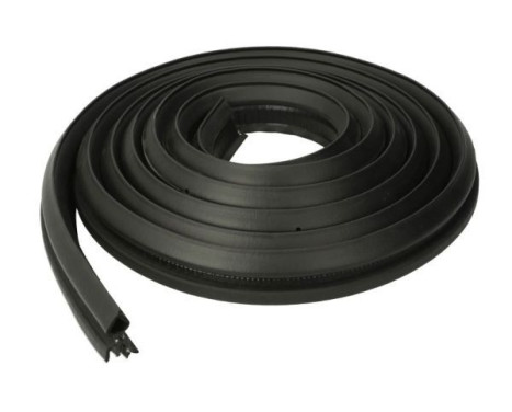 Door seal