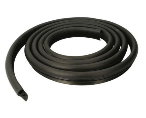 Door seal