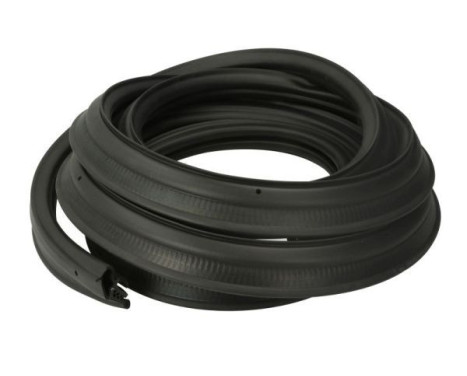 Door seal