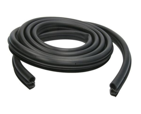 Door seal