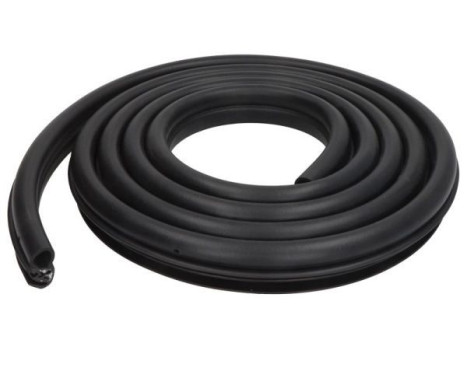 Door seal