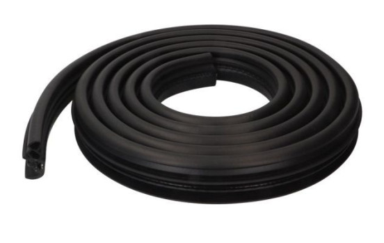 Door seal