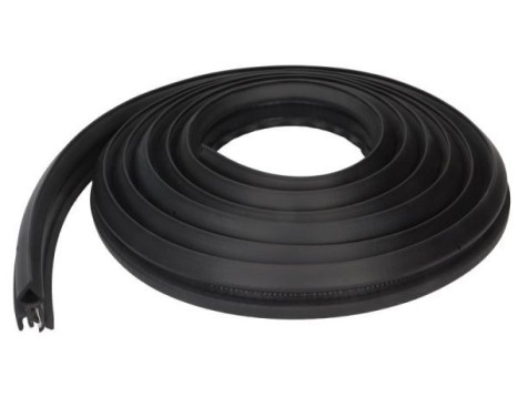 Door seal