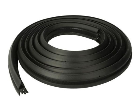 Door seal