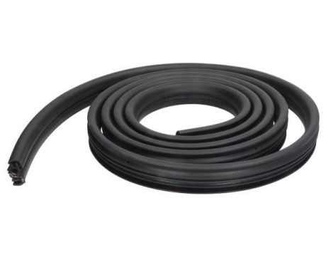 Door seal