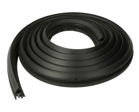 Door seal