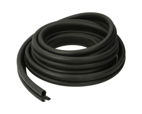 Door seal