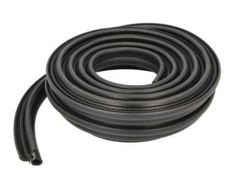 Door seal