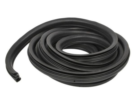 Door seal