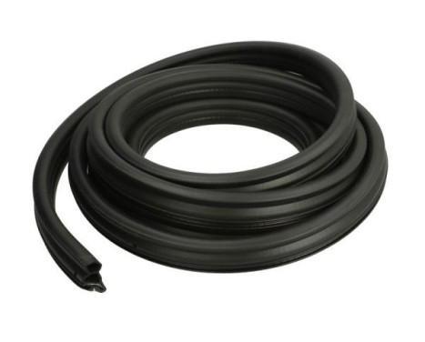 Door seal
