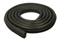 Door seal