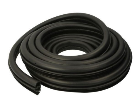 Door seal