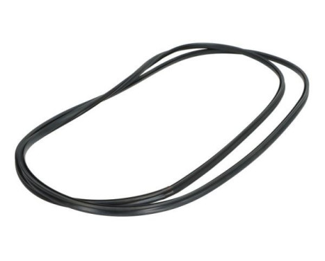 Trim/protection panel, rear window