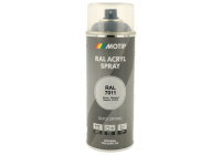 Motip 07019 RAL-7011 Iron Grey