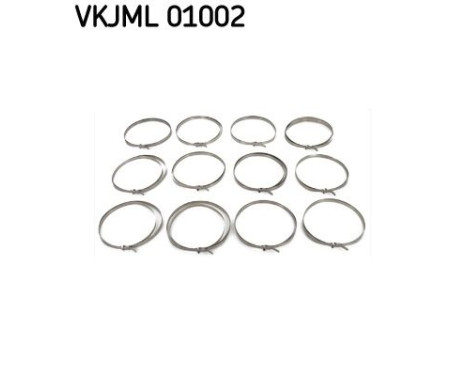 Assortment of hose clamps