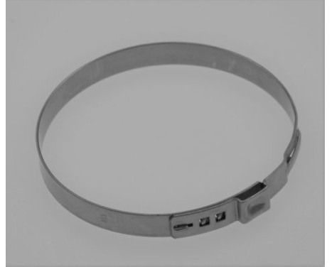 Hose clamp