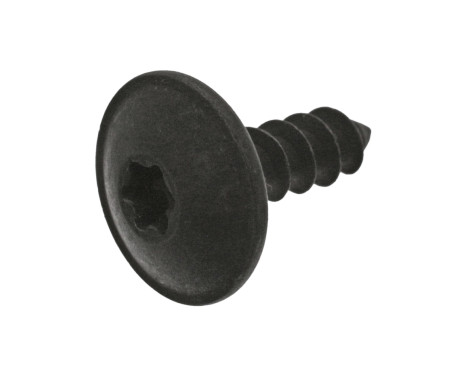 Screw 25 pcs
