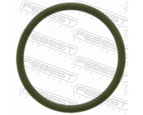 O-ring repair kit