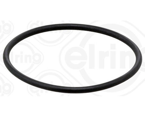 Seal Ring