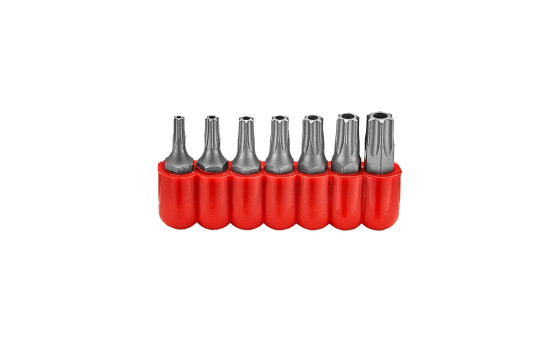 7-piece 1/4" Torx H Bits