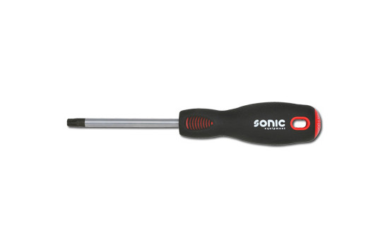 Screwdriver T9